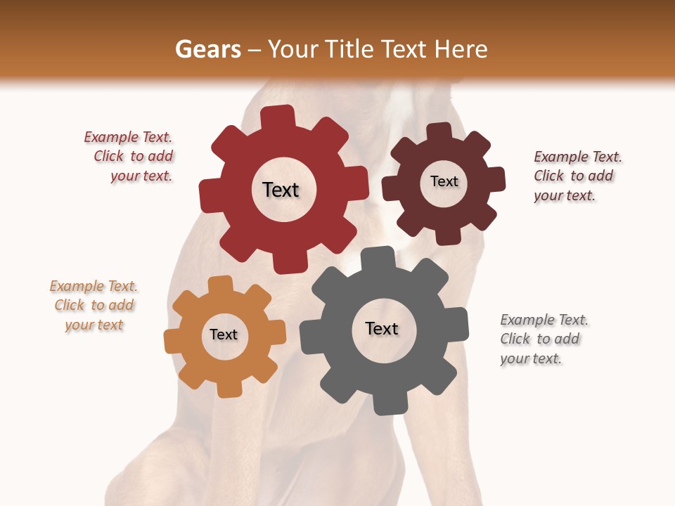 Bitch Cute Funny PowerPoint Template