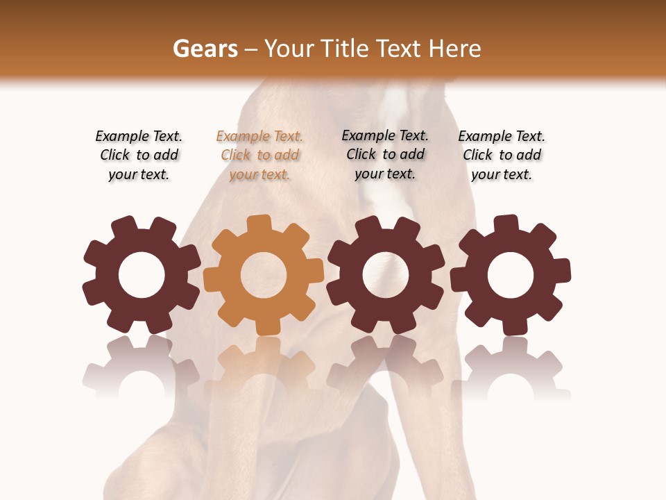 Bitch Cute Funny PowerPoint Template