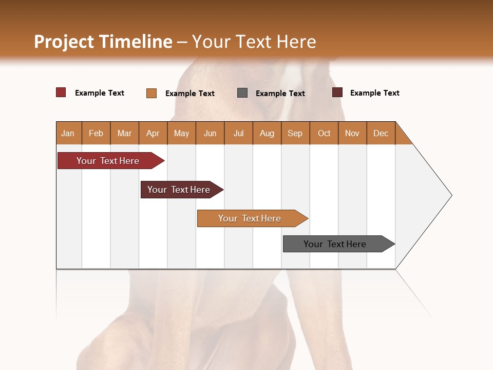 Bitch Cute Funny PowerPoint Template