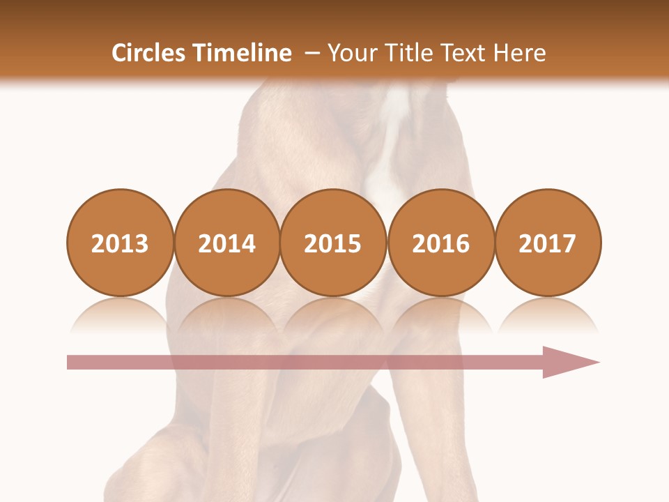 Bitch Cute Funny PowerPoint Template