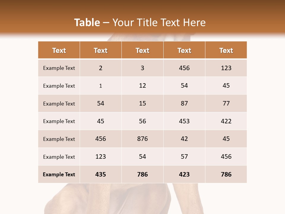 Bitch Cute Funny PowerPoint Template