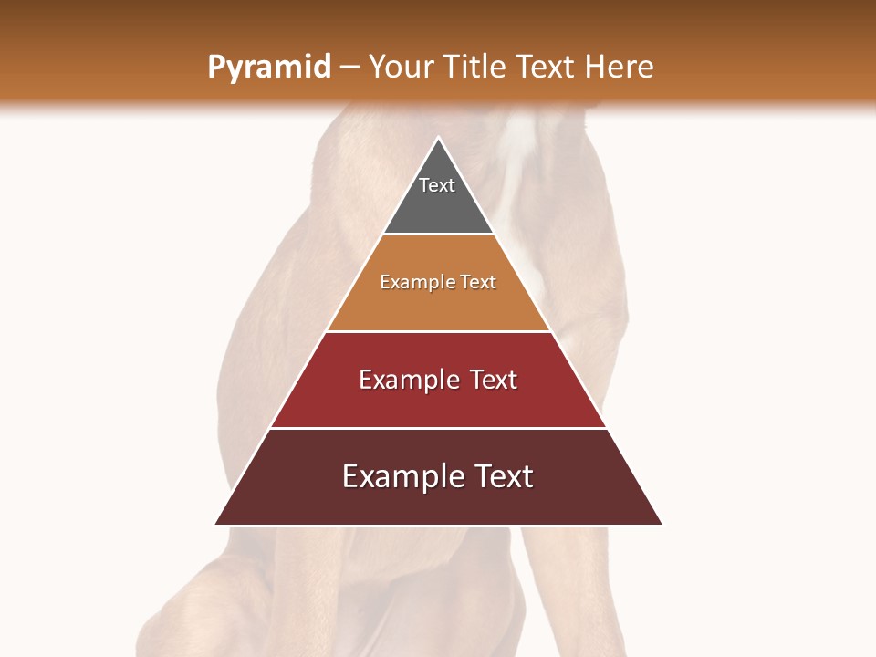 Bitch Cute Funny PowerPoint Template