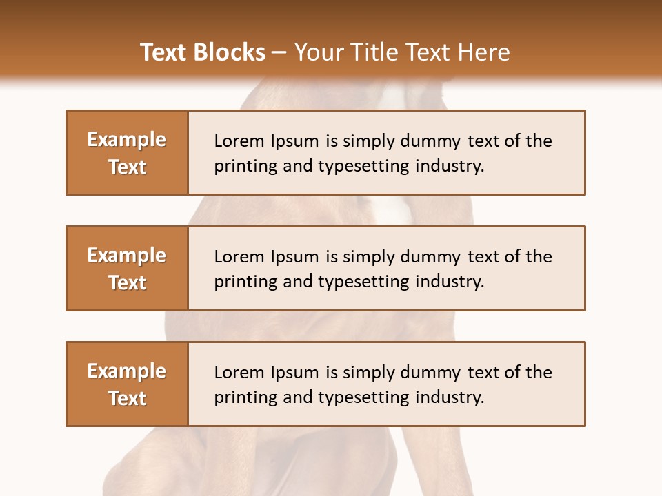 Bitch Cute Funny PowerPoint Template