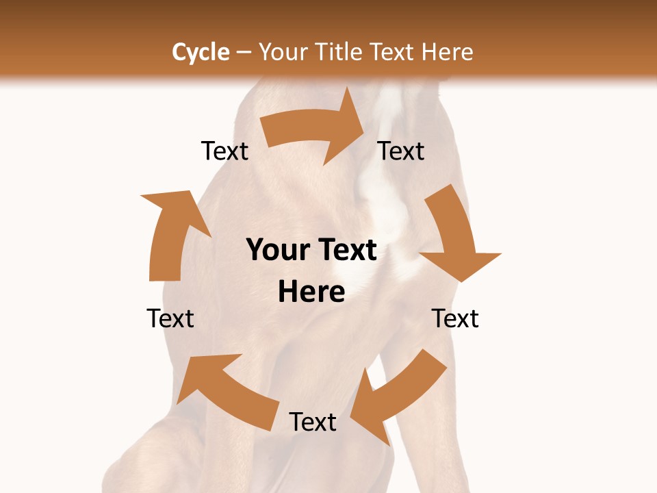 Bitch Cute Funny PowerPoint Template