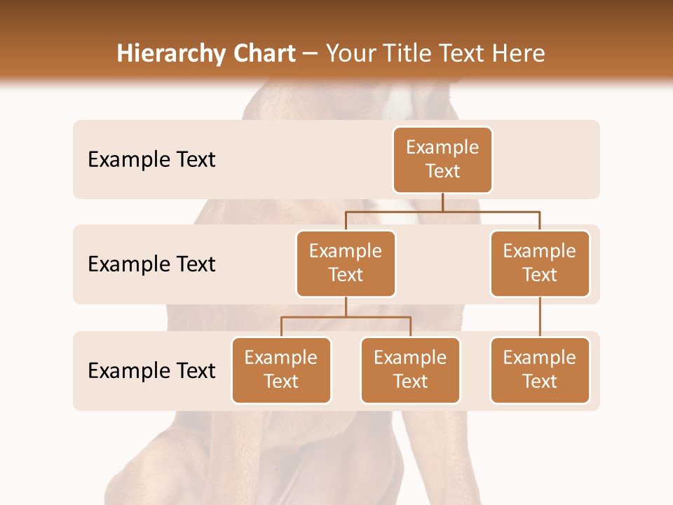 Bitch Cute Funny PowerPoint Template