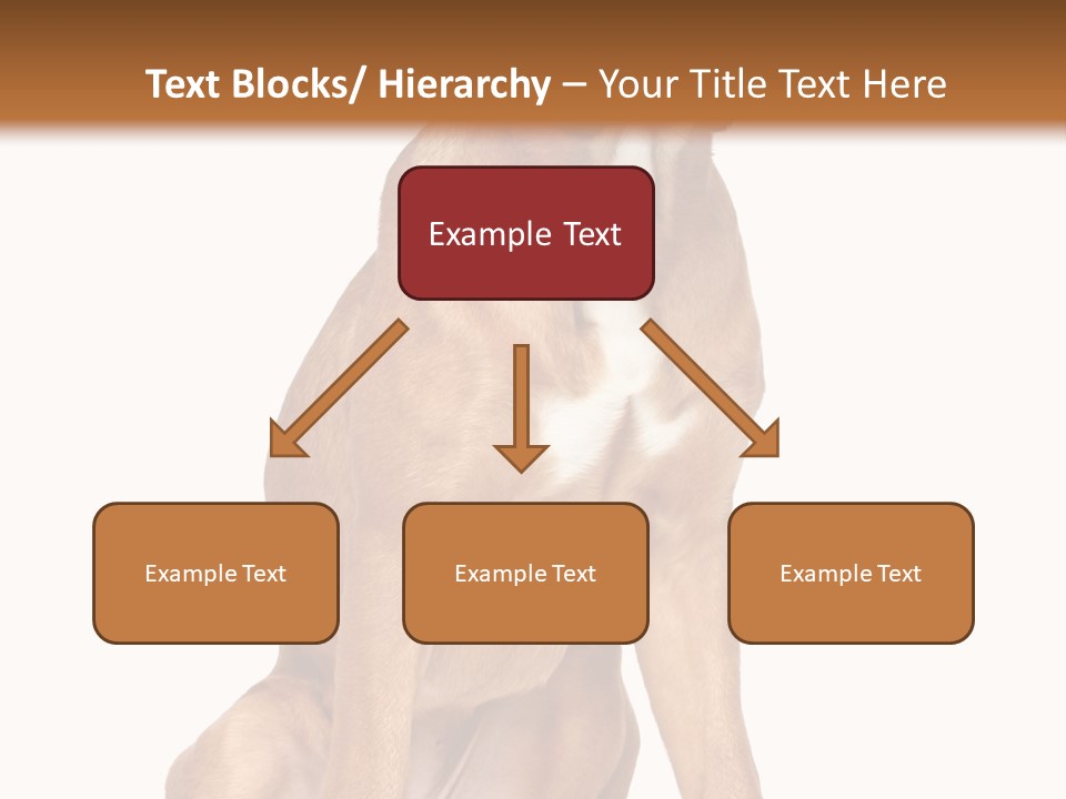 Bitch Cute Funny PowerPoint Template