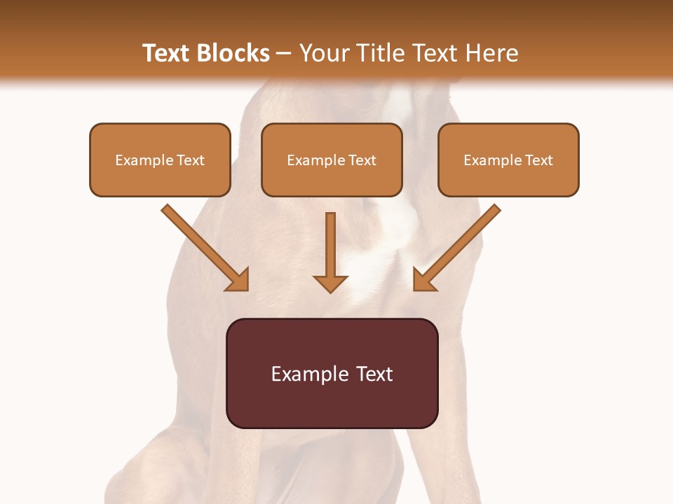 Bitch Cute Funny PowerPoint Template