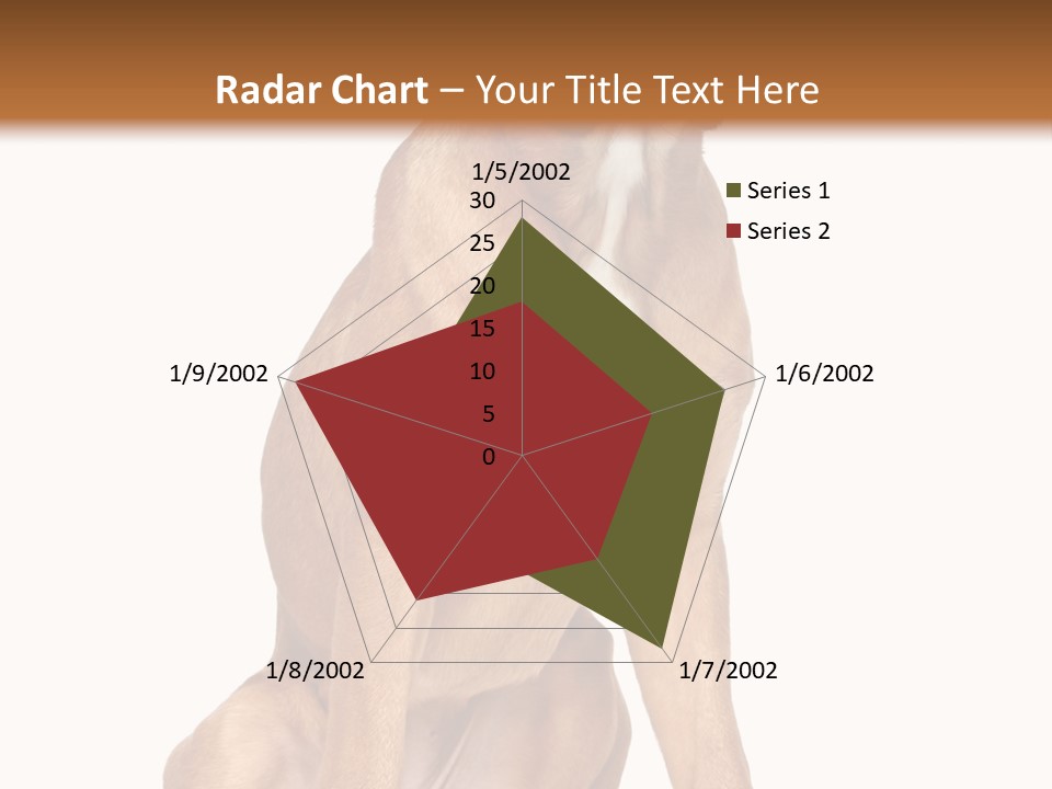 Bitch Cute Funny PowerPoint Template