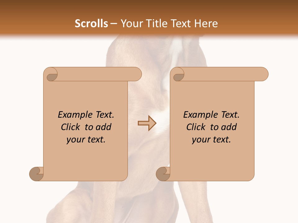 Bitch Cute Funny PowerPoint Template