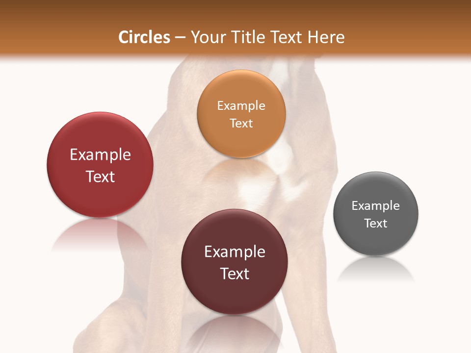 Bitch Cute Funny PowerPoint Template