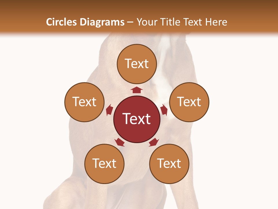 Bitch Cute Funny PowerPoint Template