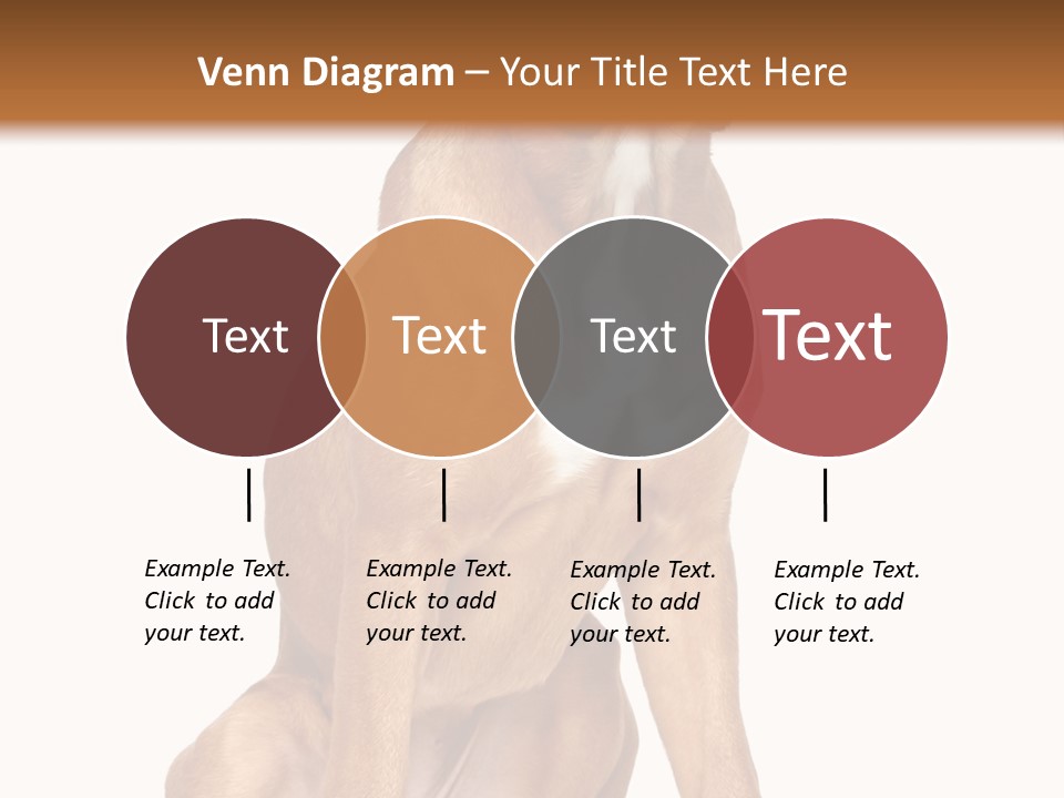 Bitch Cute Funny PowerPoint Template