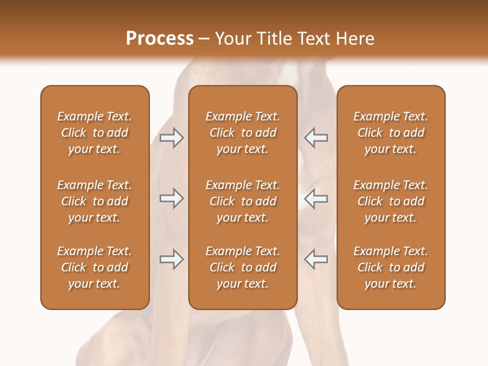 Bitch Cute Funny PowerPoint Template