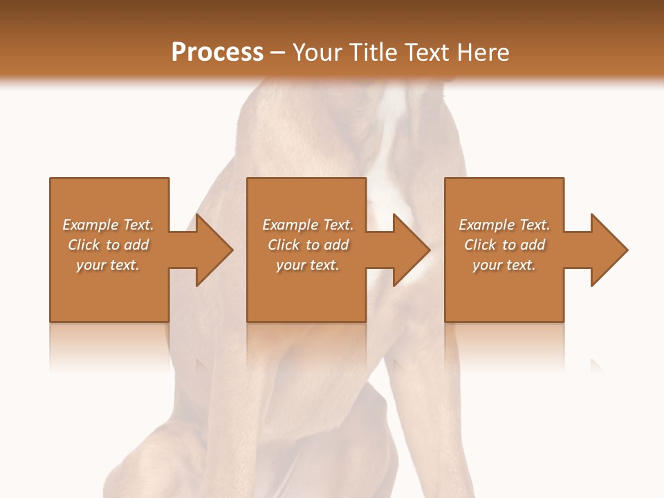 Bitch Cute Funny PowerPoint Template