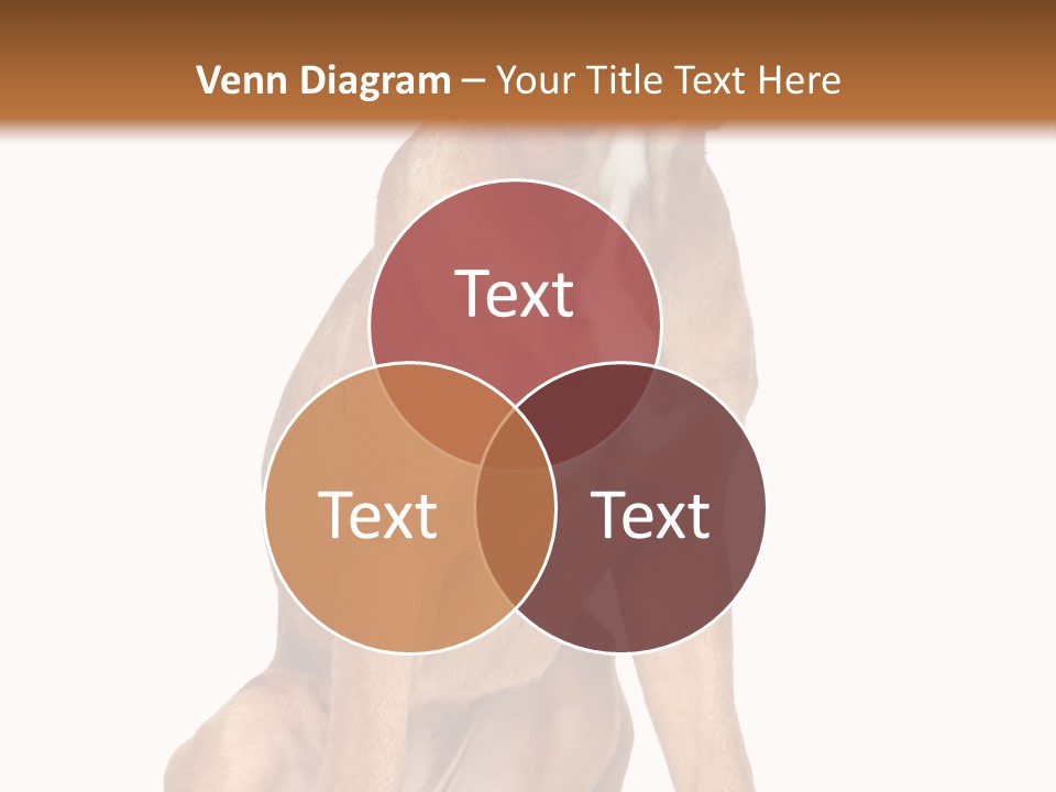 Bitch Cute Funny PowerPoint Template