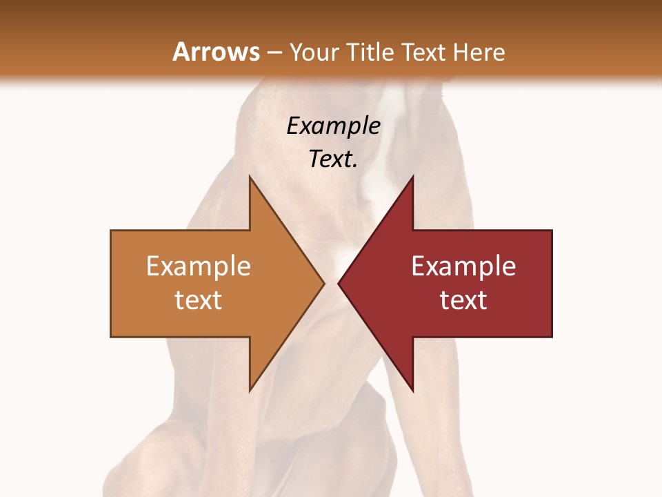 Bitch Cute Funny PowerPoint Template