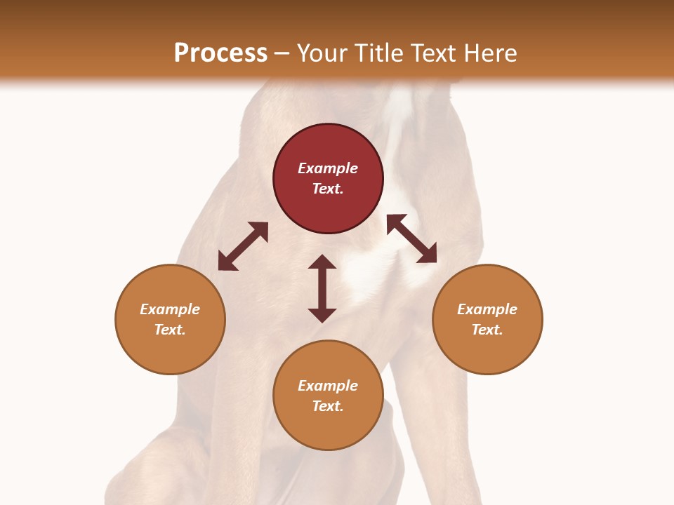 Bitch Cute Funny PowerPoint Template