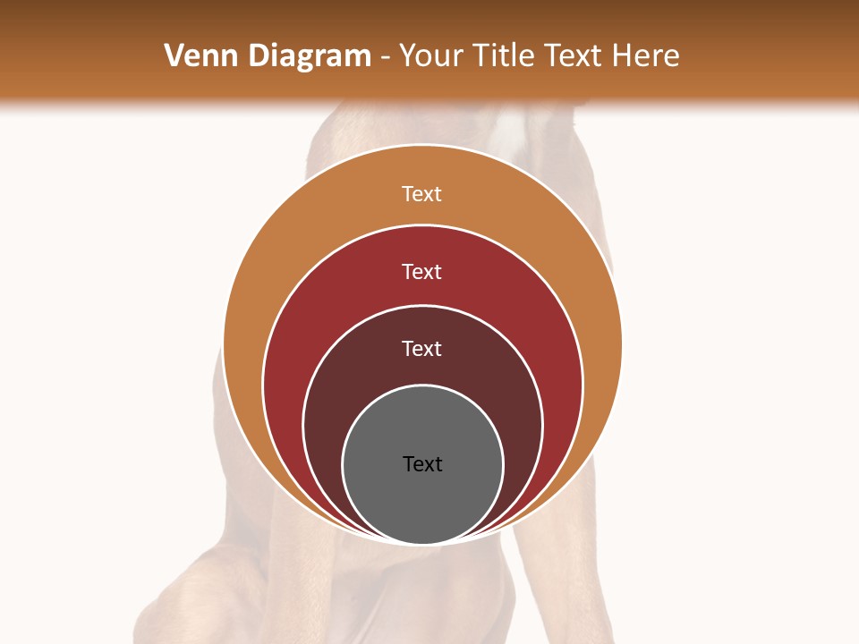 Bitch Cute Funny PowerPoint Template
