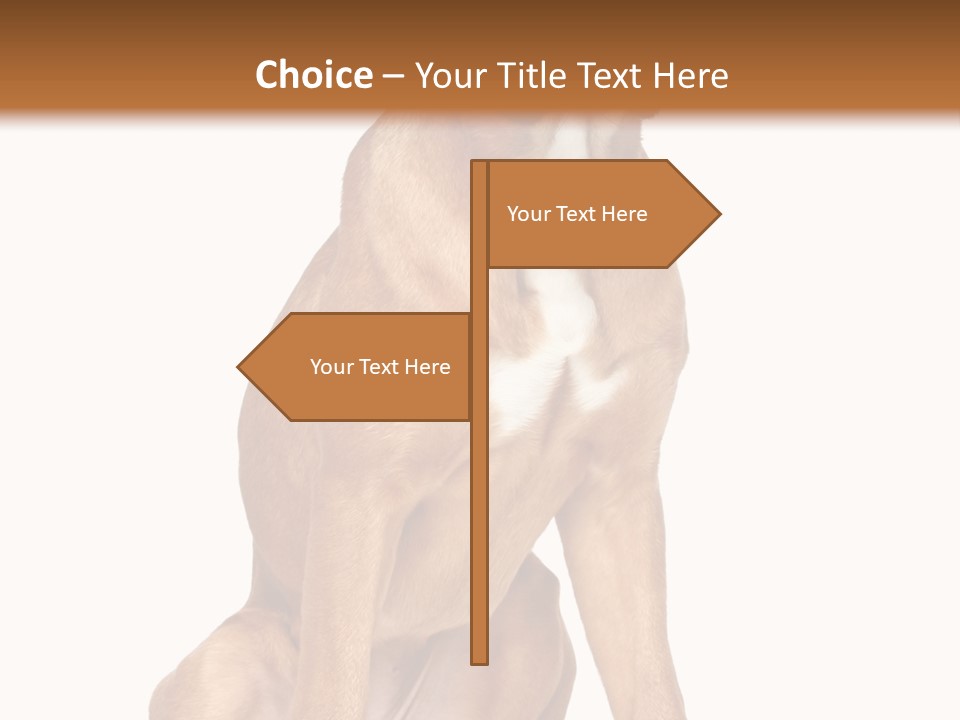 Bitch Cute Funny PowerPoint Template