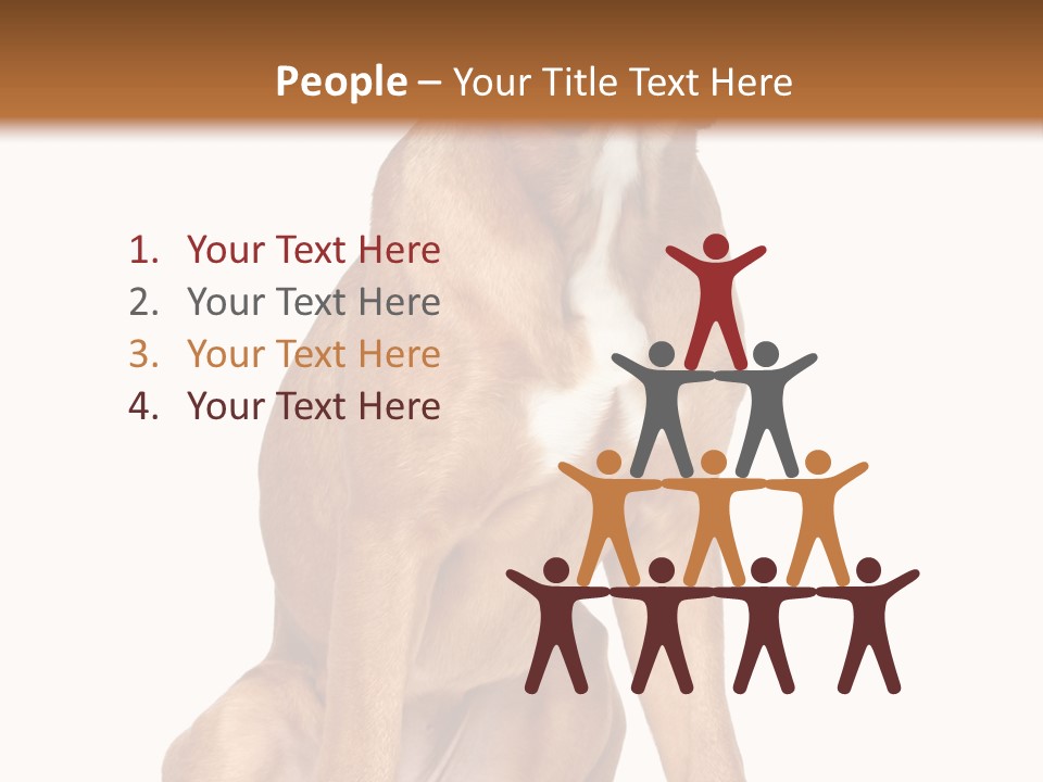 Bitch Cute Funny PowerPoint Template