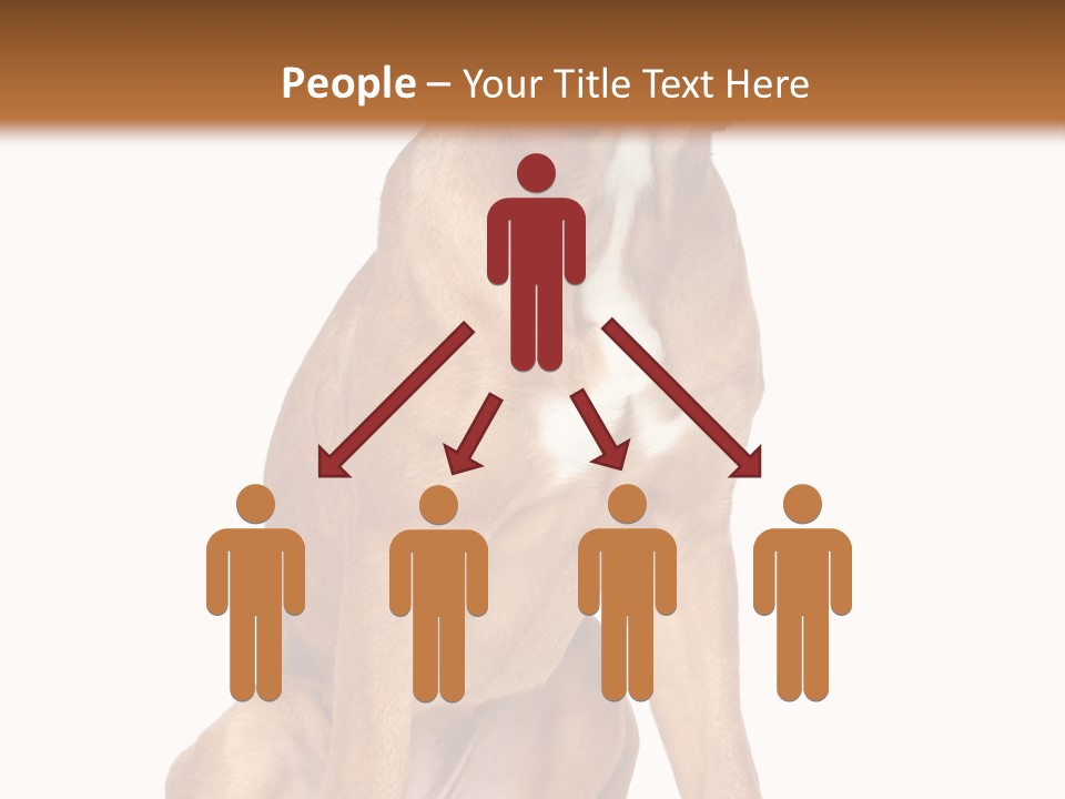 Bitch Cute Funny PowerPoint Template