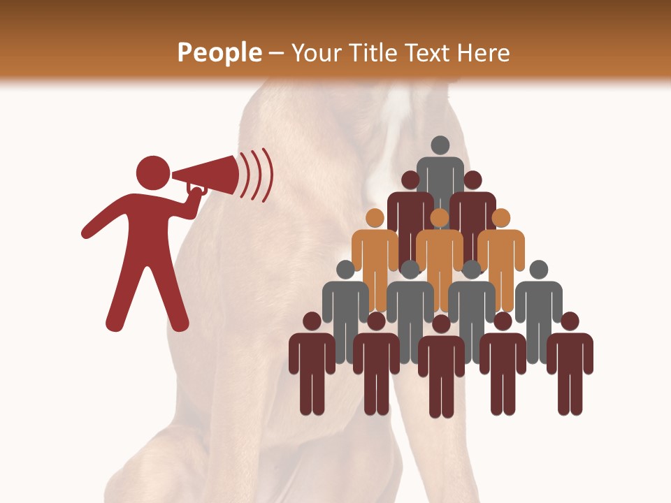 Bitch Cute Funny PowerPoint Template