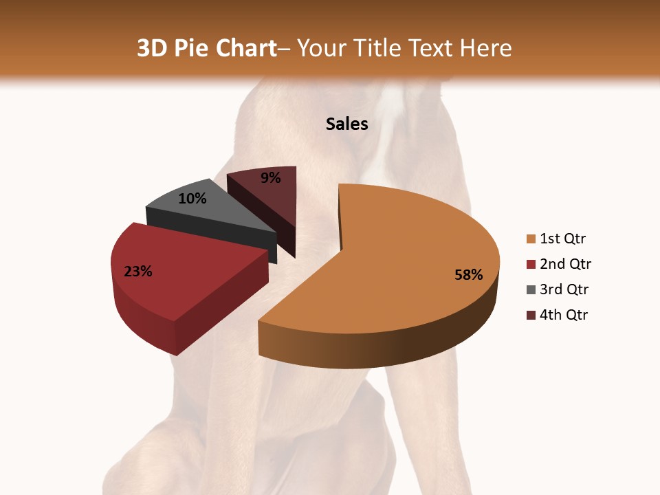 Bitch Cute Funny PowerPoint Template