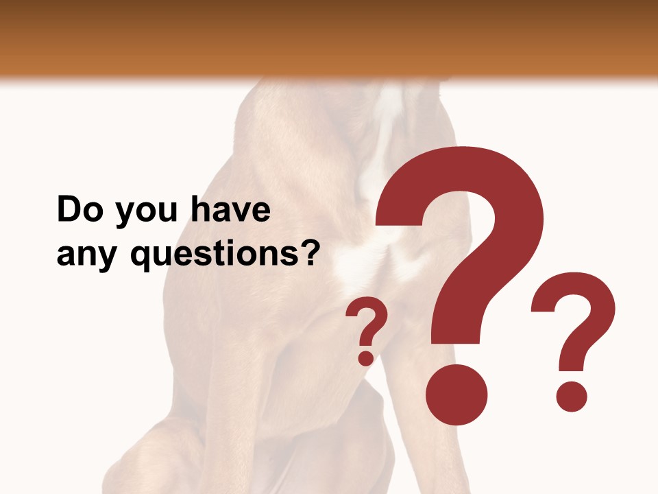 Bitch Cute Funny PowerPoint Template