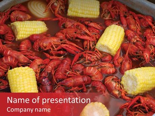 Seafood Cook Louisiana PowerPoint Template