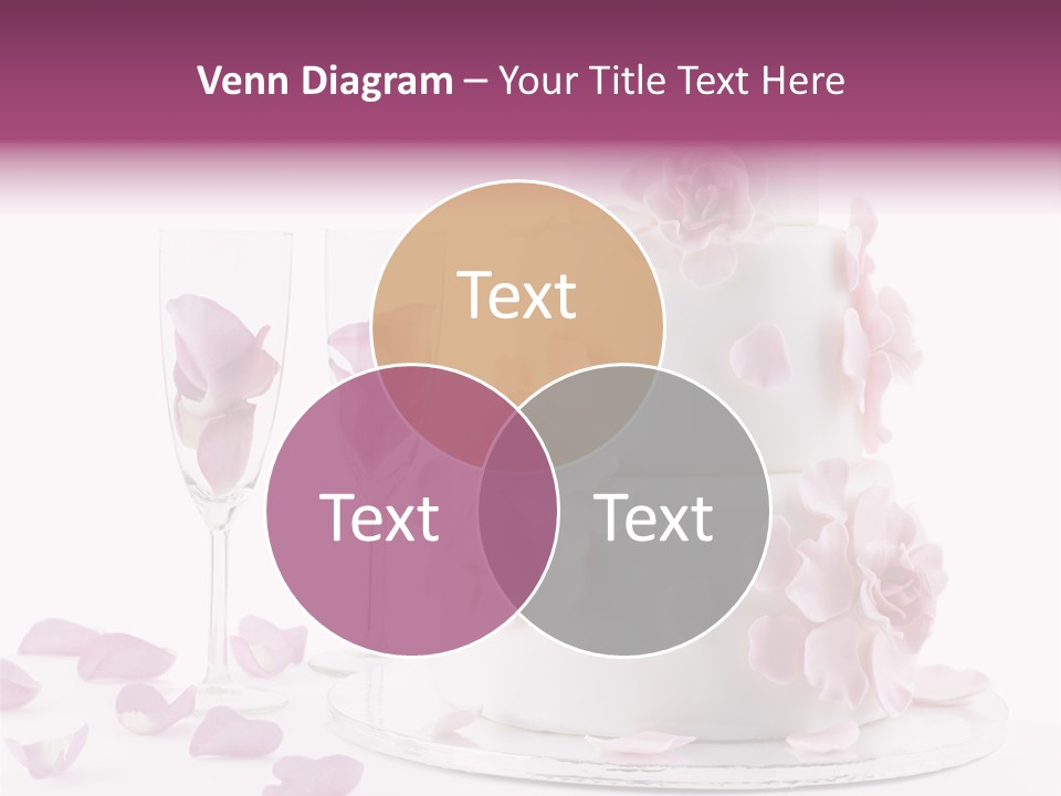 Still Image Colorful PowerPoint Template