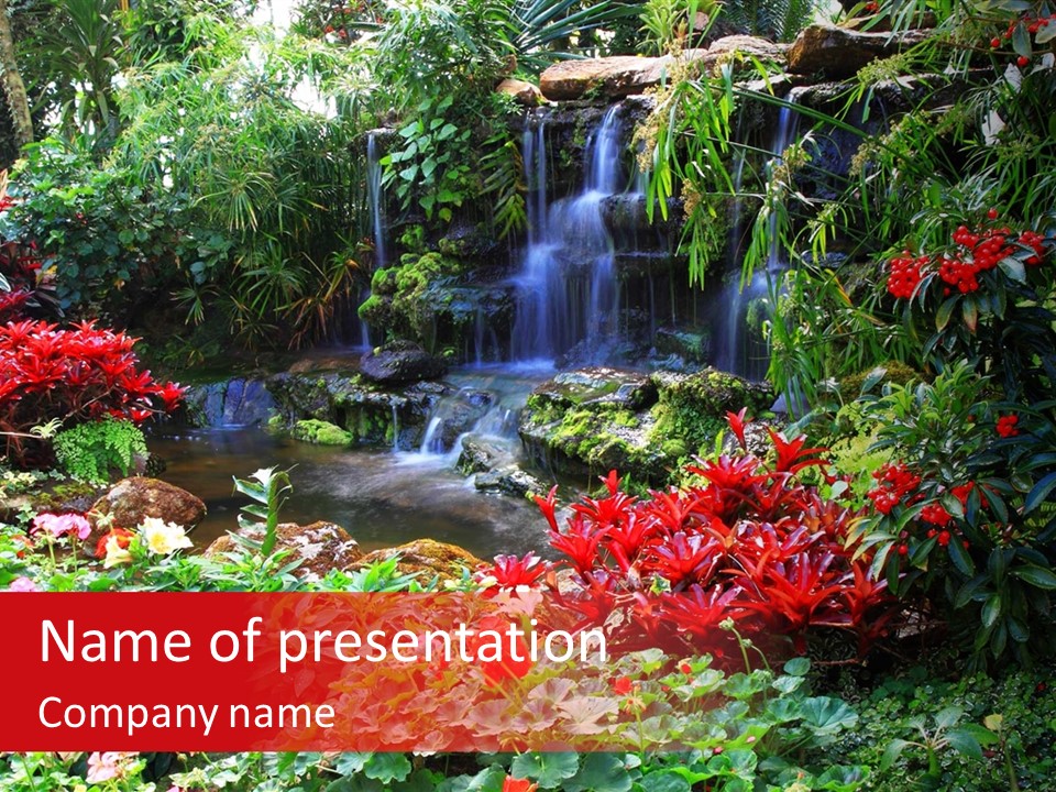 Orchid Nature Rock PowerPoint Template