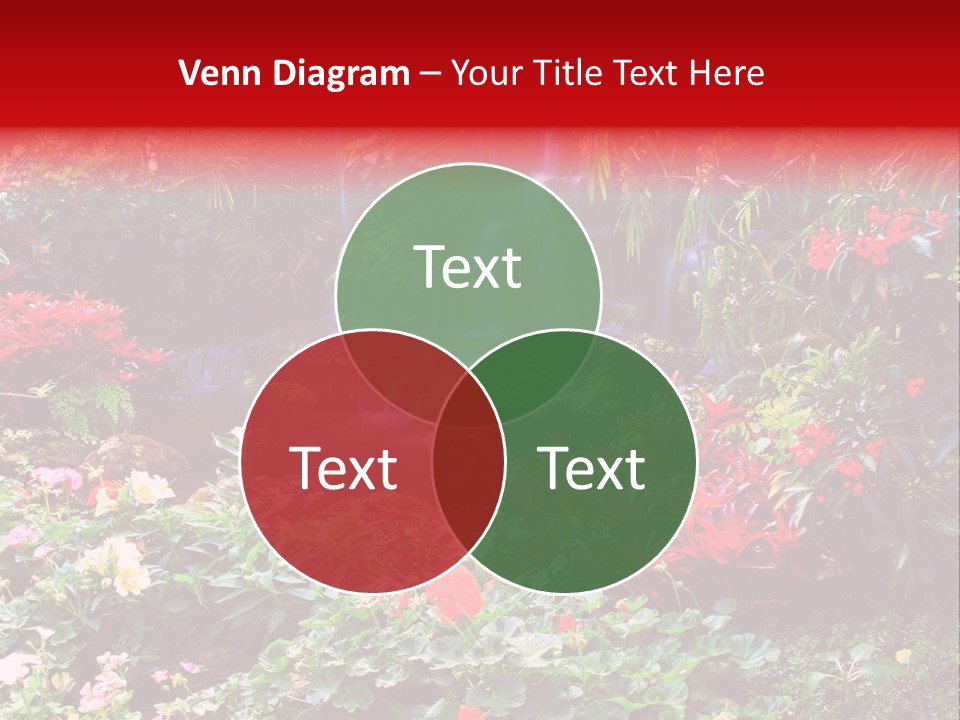 Orchid Nature Rock PowerPoint Template