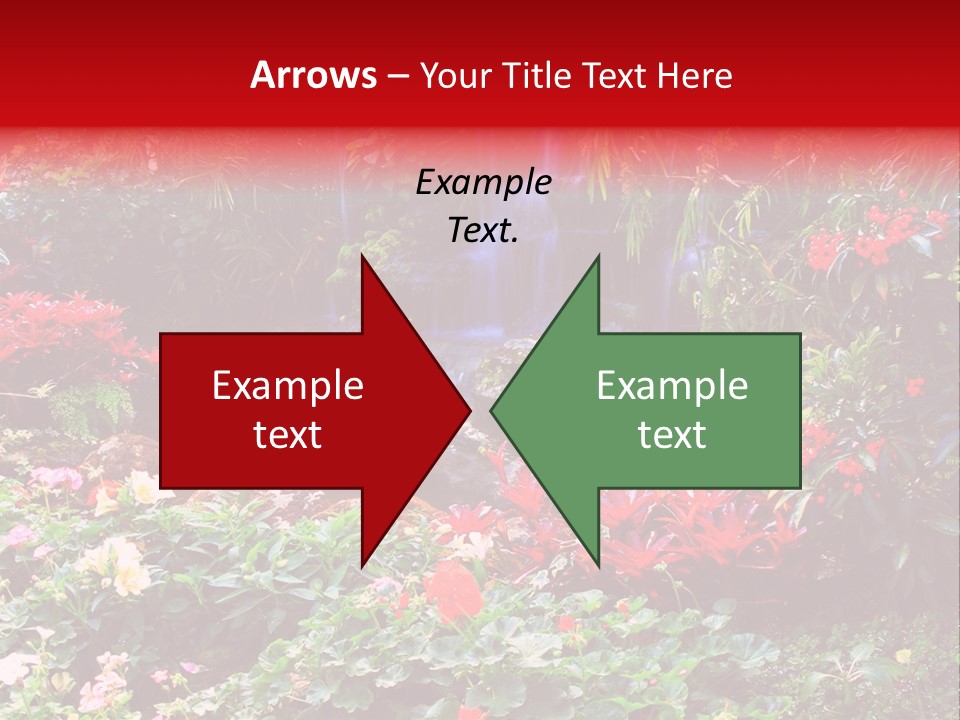 Orchid Nature Rock PowerPoint Template