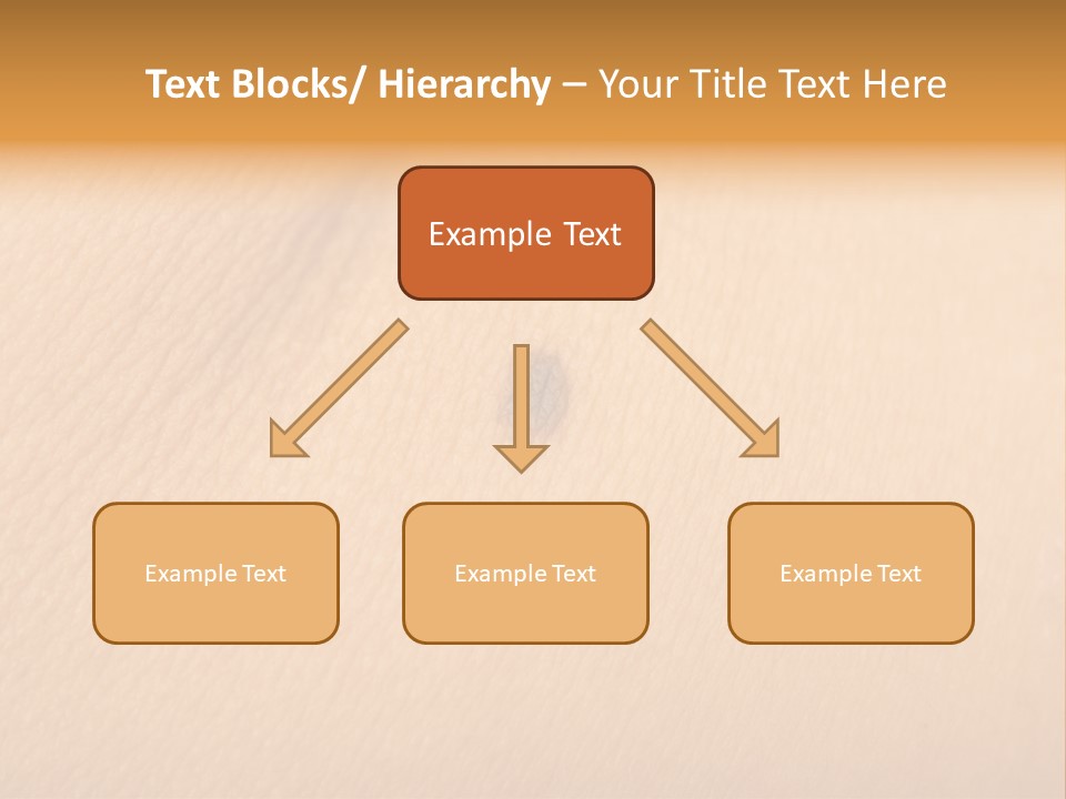 Macro Human Smooth PowerPoint Template