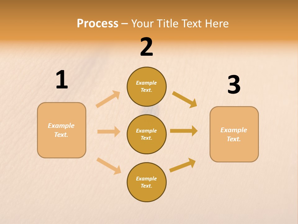 Macro Human Smooth PowerPoint Template