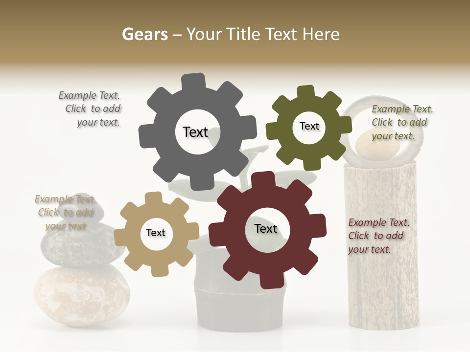 Studio Charming Shoulder PowerPoint Template