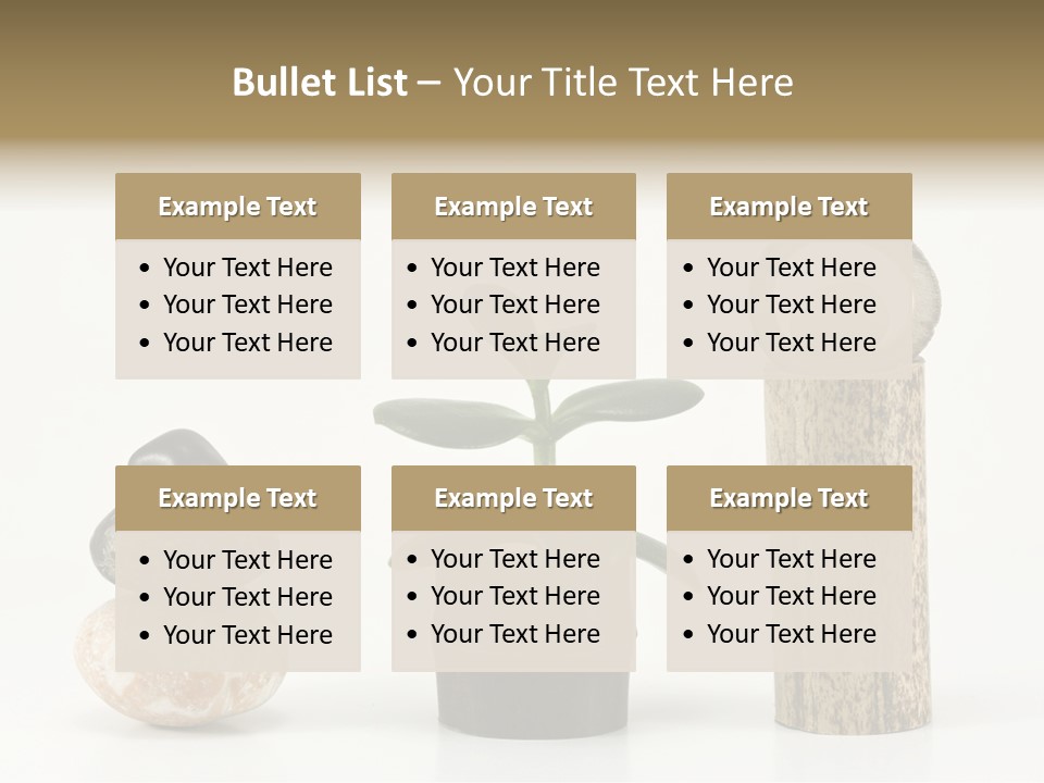 Studio Charming Shoulder PowerPoint Template