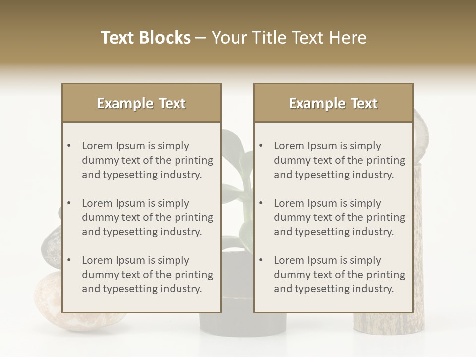 Studio Charming Shoulder PowerPoint Template