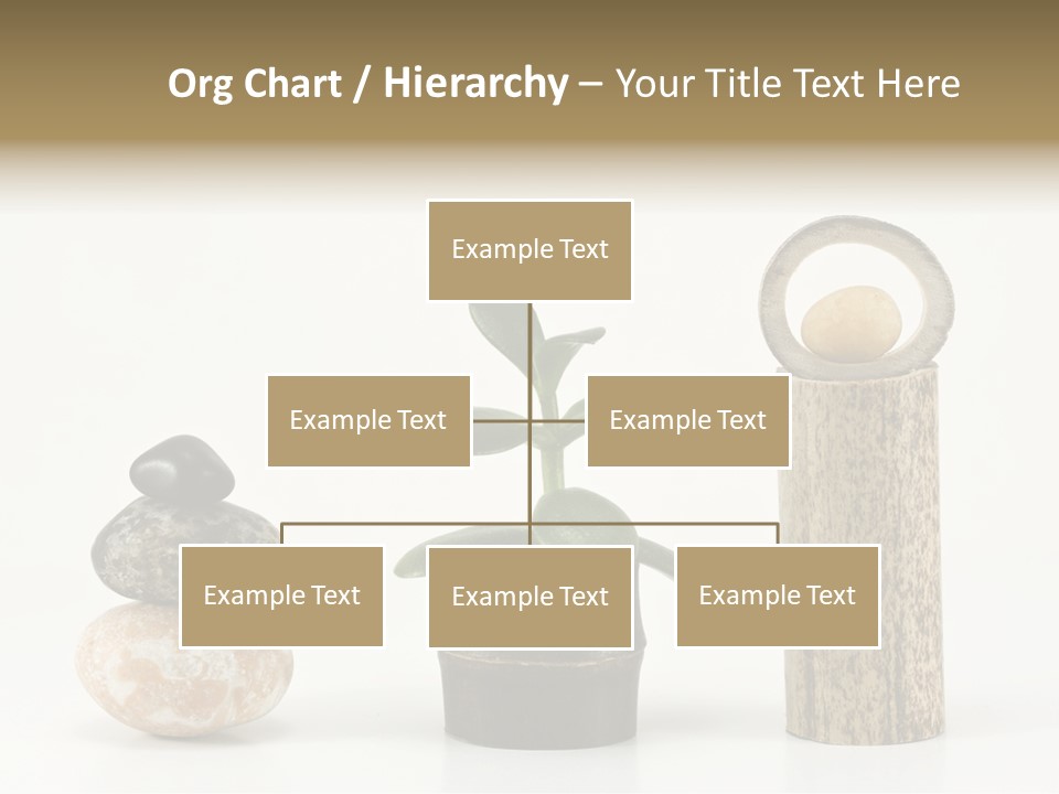 Studio Charming Shoulder PowerPoint Template