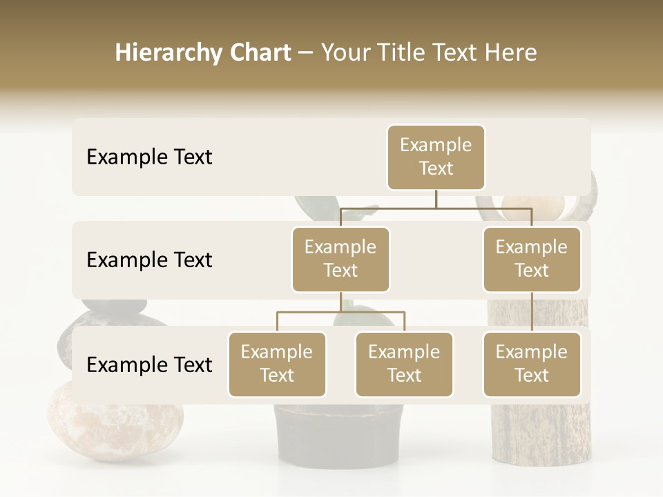 Studio Charming Shoulder PowerPoint Template