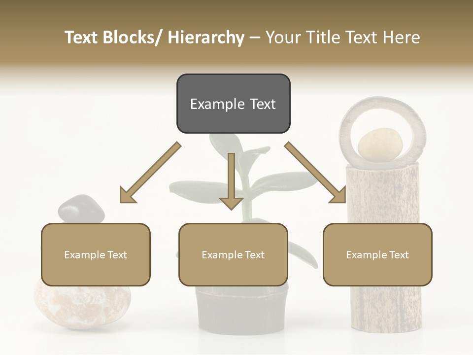 Studio Charming Shoulder PowerPoint Template