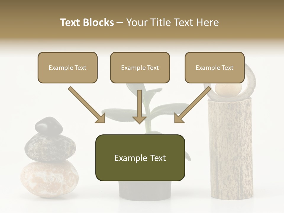 Studio Charming Shoulder PowerPoint Template