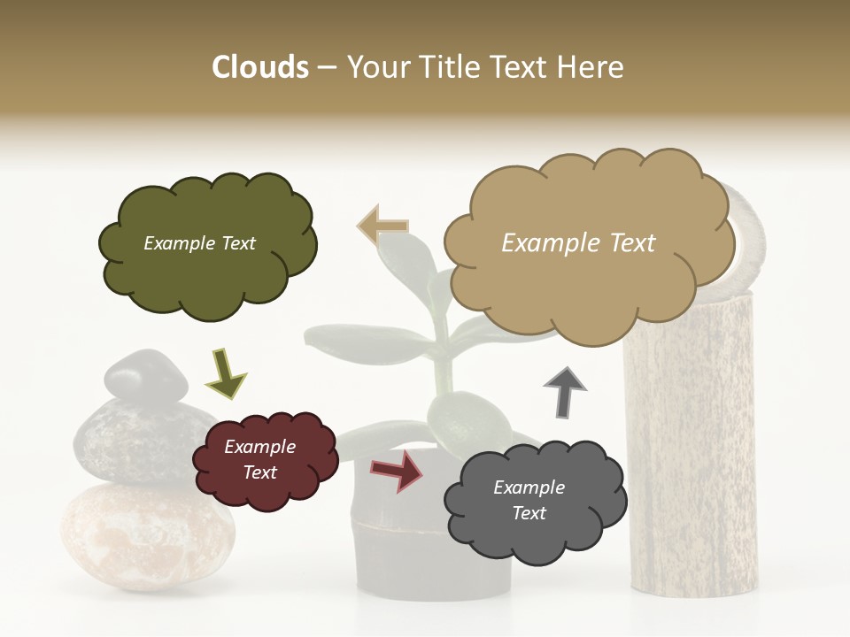 Studio Charming Shoulder PowerPoint Template