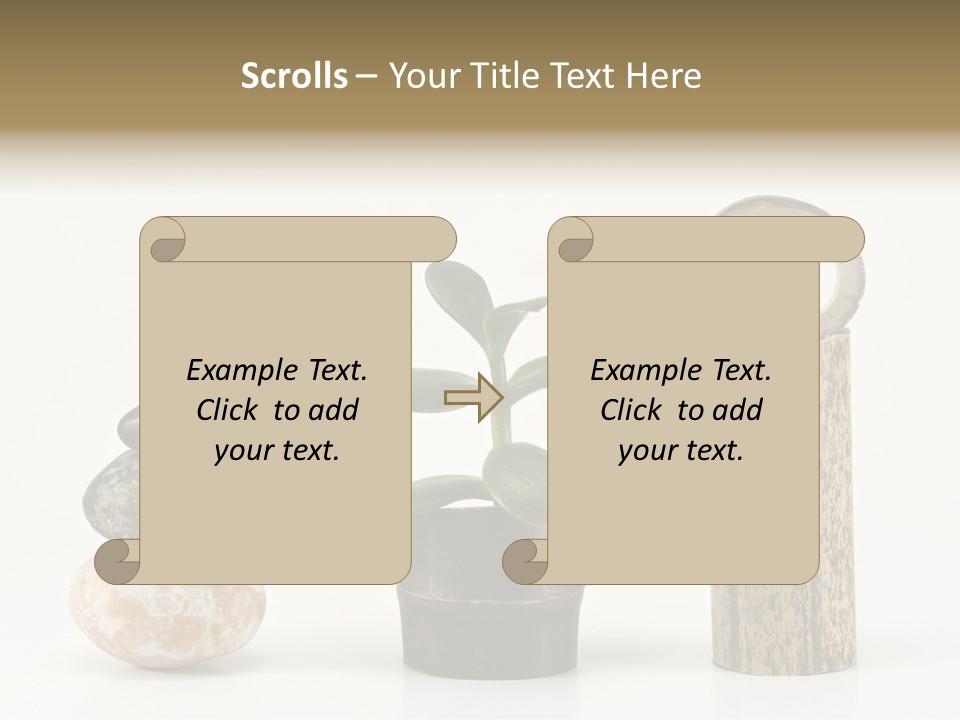 Studio Charming Shoulder PowerPoint Template