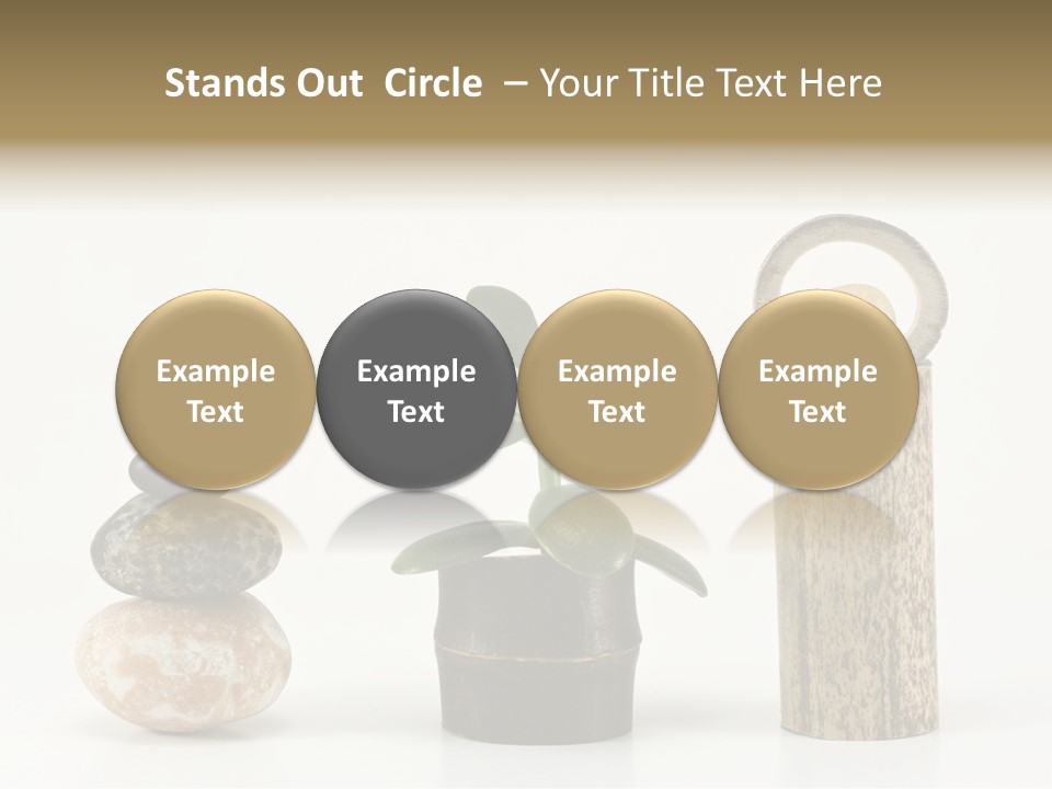 Studio Charming Shoulder PowerPoint Template