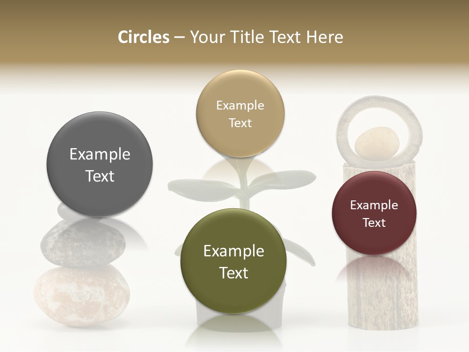 Studio Charming Shoulder PowerPoint Template