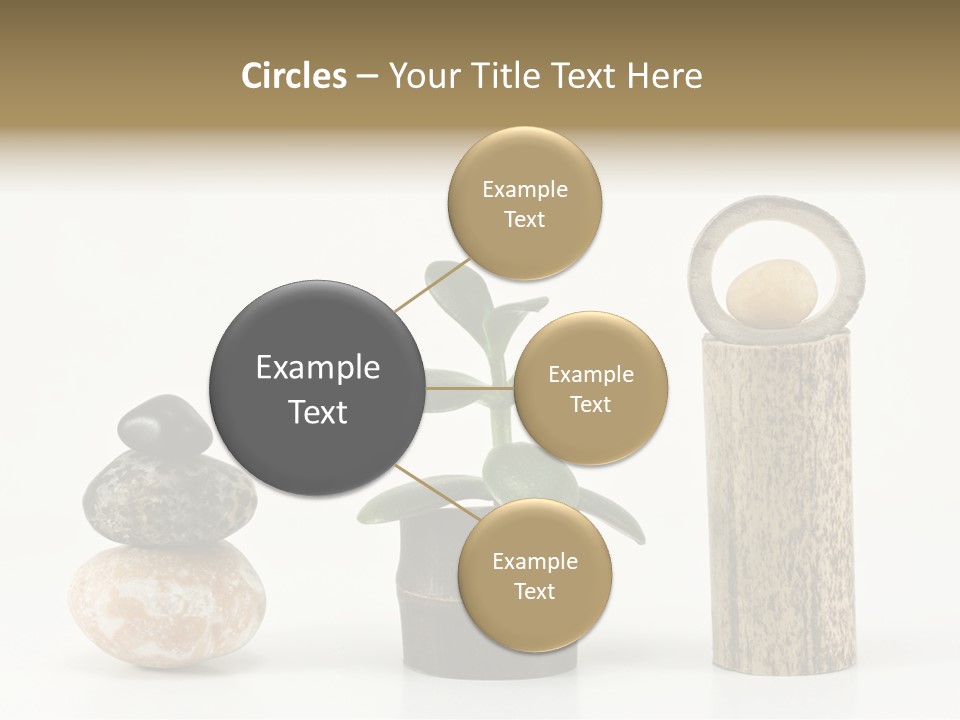 Studio Charming Shoulder PowerPoint Template