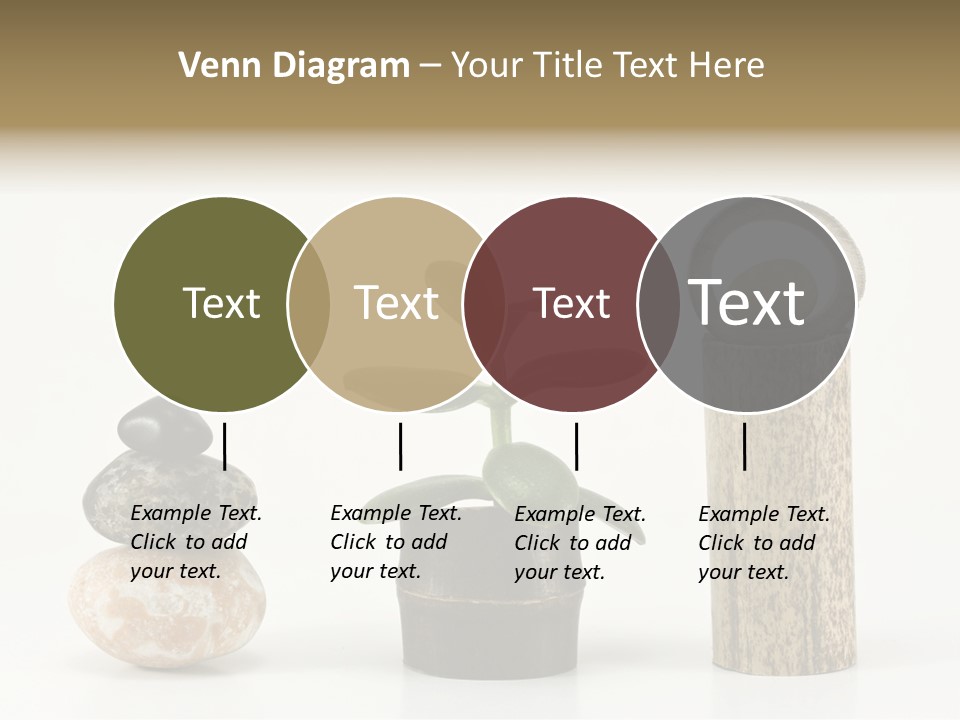 Studio Charming Shoulder PowerPoint Template