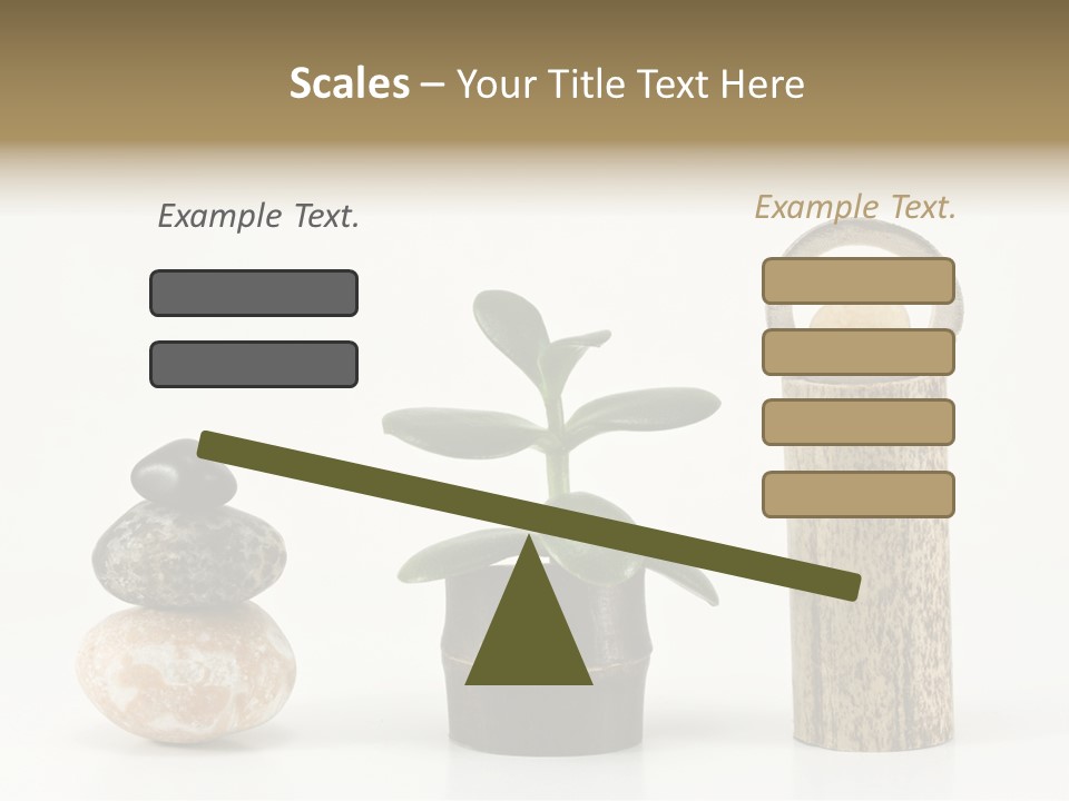 Studio Charming Shoulder PowerPoint Template