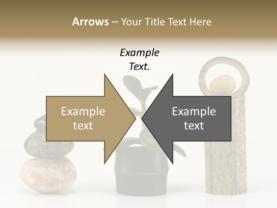 Studio Charming Shoulder PowerPoint Template